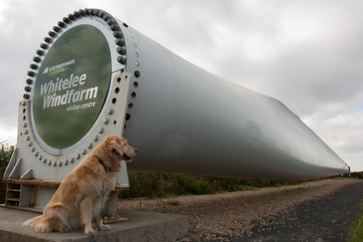 Rotorblatt: Whitelee Windfarm