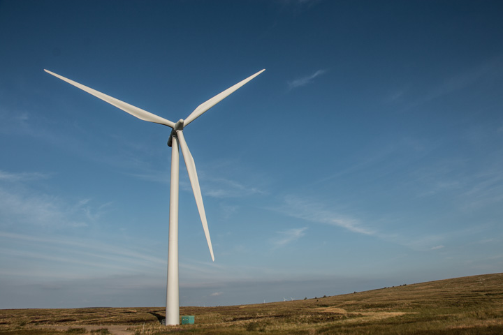 Whitelee Windfarm