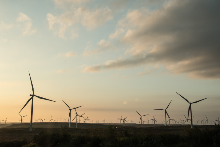 Whitelee Windfarm