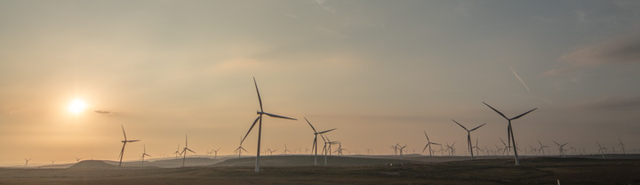 Whitelee Windfarm