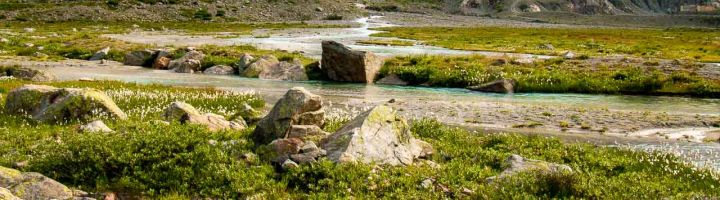 Steingletscher