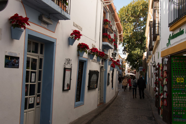 Weihnachtssterne, Cordoba, Spanien