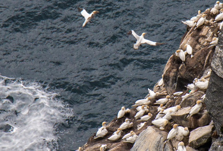 , Norwegen