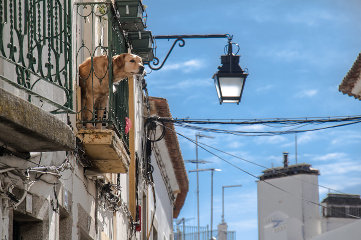 Portugal
