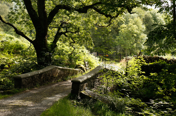 Steinbr&uuml;cke - Loch Trool