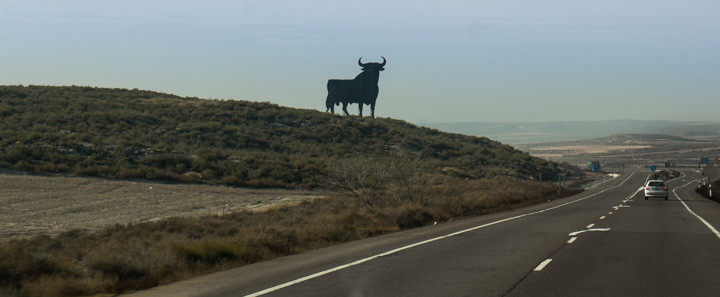 Stier, Spanien