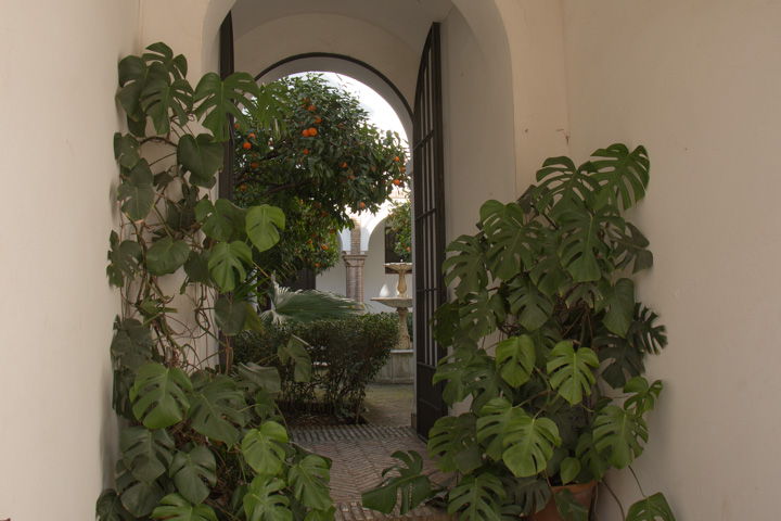 Innenhof, Sevilla, Spanien